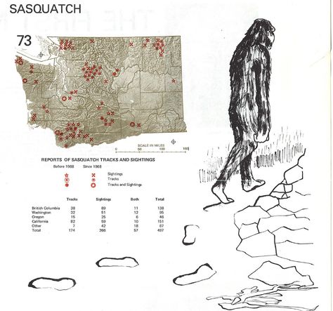 Bigfoot Video, Pacific Dogwood, Roswell Incident, Bigfoot Art, Finding Bigfoot, Army Corps Of Engineers, Structure And Function, Going Viral, Large Eyes