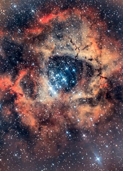 Rosette (skull) nebula Skull Nebula, Cosmos, Celestial Bodies