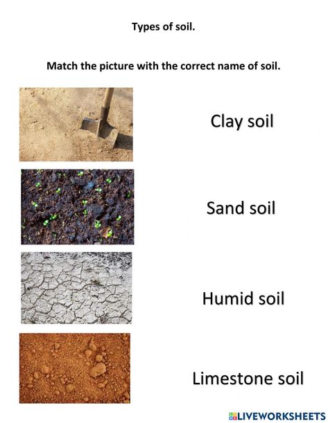 Soil Worksheet, Science Worksheets, English As A Second Language (esl), Clay Soil, English As A Second Language, Interactive Activities, Types Of Soil, School Subjects, Vocabulary