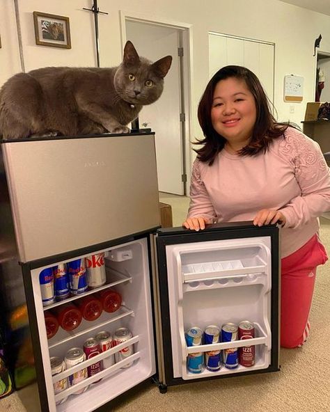 Thuy-Linh Phan | Honeybunnytwee.com | Lifestyle Blogger | CT on Instagram: "Amazon Home Deal Alert❣️Anukis Silver Compact Refrigerator 3.5 Cu Ft 2 Door Mini Fridge with Freezer from @anukis2022 ❄️🥤🧊 Product: 3.5cu silver mini fridge Reg. price: $334.99 Deal Price: $264.74!!! (Save $70, No code required) Buy it on Amazon: https://amzn.to/3Uimts5 Perfect Addition for Apartments, Dorms, Home Offices, Basements, or Garages *- Low consumption power, low noise. Suitable for storage of frozen food Mini Fridge With Freezer, Low Consumption, Small Fridges, Compact Refrigerator, Glass Partition, No Code, Home Offices, Mini Fridge, Amazon Home