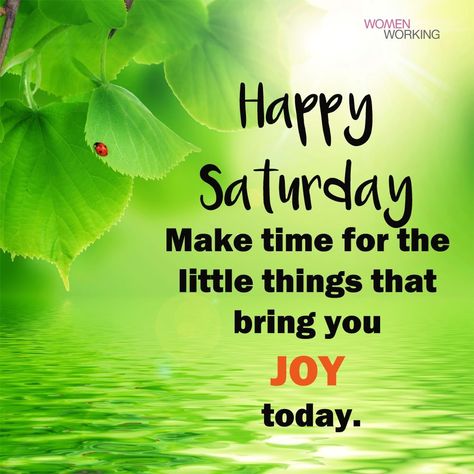 Happy Saturday All! I wish you all a good rest and Sunny mood, harmony in the soul and many wonderful moments. Life is moments and details, live them beautifully! ‍♀️ Saturday Quotes Funny, Happy Saturday Quotes, Saturday Morning Quotes, Happy Saturday Images, Saturday Images, Good Morning Happy Saturday, Saturday Quotes, Good Morning Saturday, Bear Quote