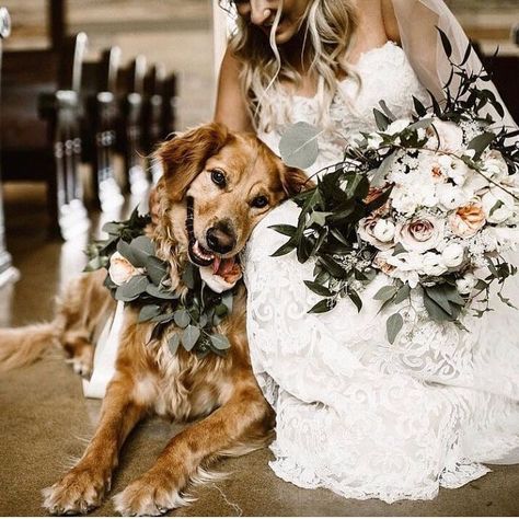 Wedding Photo Ideas, Wedding Pets, Wedding Photography Tips, Dog Wedding, Wedding Goals, Wedding Pics, Budget Wedding, Wedding Themes, Wedding Bells