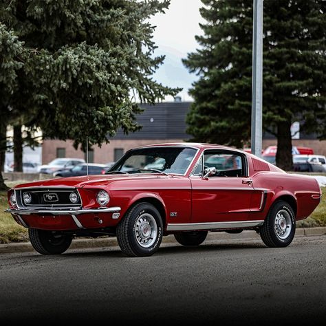 This 1968 Ford Mustang GT fastback received a fresh, ground-up restoration. It’s powered by a 302ci V8 engine paired with a 4-speed manual transmission. From The Matt Furukawa Collection. 1968 Ford Mustang Shelby Gt500, 1968 Mustang Fastback, Mustang Gt 1969, Organize Car, 1968 Mustang Gt, Car Travel Hacks, Mustang 67, Mustang 1968, Ford Mustang 1968