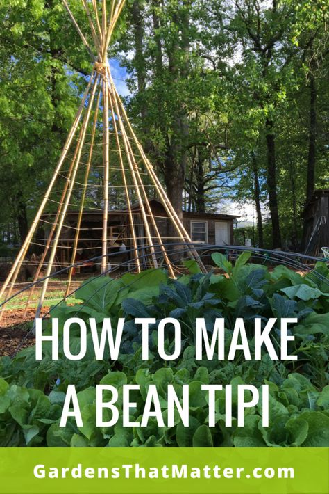 Bean Tipi, Nasturtium Trellis, Rose Garden Design Ideas, Fun Garden Ideas, Bean Teepee, Bean Trellis, Teepee Trellis, Trellis Diy, Bean Garden