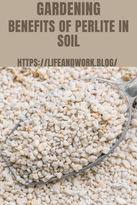 Gardening – Benefits of Perlite in Soil Gardening Benefits, Garden Mulch, Benefits Of Gardening, Hydroponic Growing, Organic Vegetable Garden, Healthy Garden, Clay Soil, Liquid Fertilizer, Soil Improvement