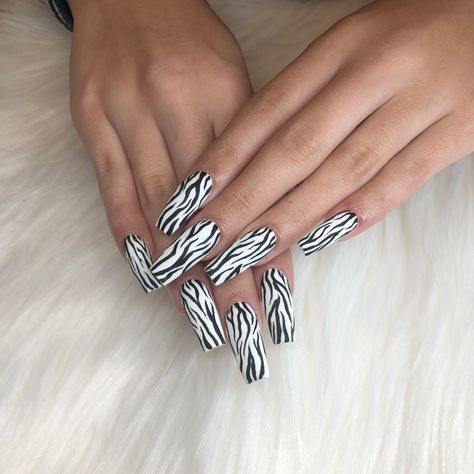 Zebra Acrylic Nails, Nail Polish Ideas, Hollywood Nails, Zebra Print Nails, Zebra Nails, September Nails, Nails Now, Cute Acrylic Nail Designs, Animal Nails