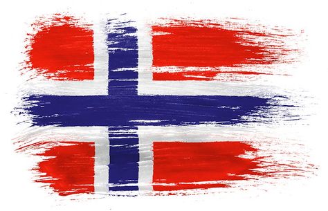 Norwegian, right? Well, with Bokmål, Nynorsk, Sami, Kvem, English, there are many more languages used in Norway than you might expect! Norway Language, Different Alphabets, Norway Flag, Norwegian Flag, Foreign Words, Flag Painting, Highlight Icons, Pictures To Draw, Scandinavia