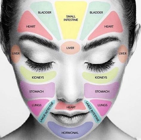 Gesicht Mapping, Face Mapping Acne, Blind Pimple, Pimples Under The Skin, Body Toxins, Reflexology Chart, Face Mapping, Organ System, Face Acne