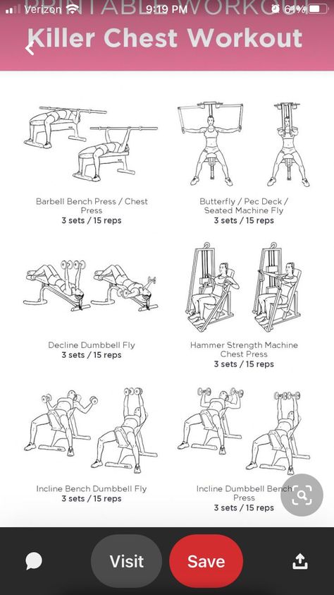 Killer Chest Workout, Hammer Strength, Dumbbell Fly, Chest Press, Incline Bench, Barbell Workout, Chest Workout, Bench Press, Running Workouts