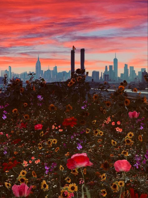 City Of Flowers, Nyc Flowers, Sunset Skies, Summer Skies, Automatic Drawing, City Artwork, Background Photos, Nyc Skyline, Summer Sky