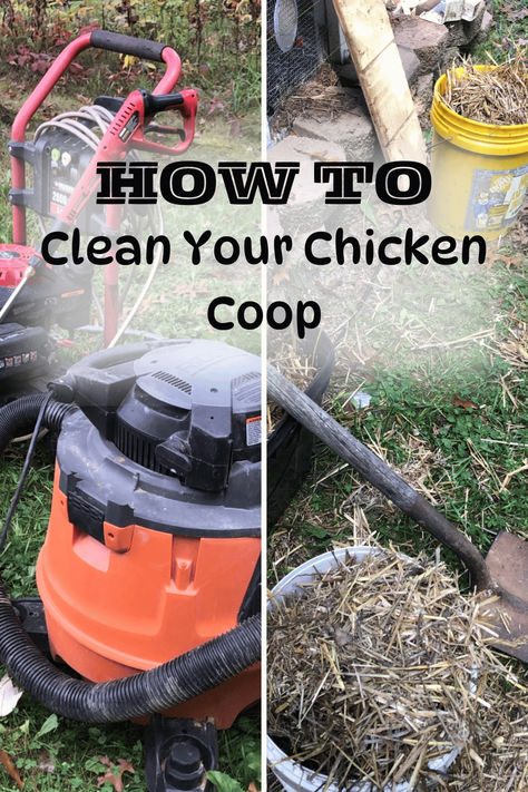 What tools do you need to clean your chicken coop?  How much time does it take?  What cleaners are safe to use in a chicken coop?  We answer all your questions and more.  Follow us over to Our Eden Cultivated.com Cleaning Chicken Coop, Fermenting Chicken Feed, Clean Chicken Coop, Clean Chicken, Push Broom, Chicken Feeders, Chicken Feed, Shop Vac, Chicken Scratch