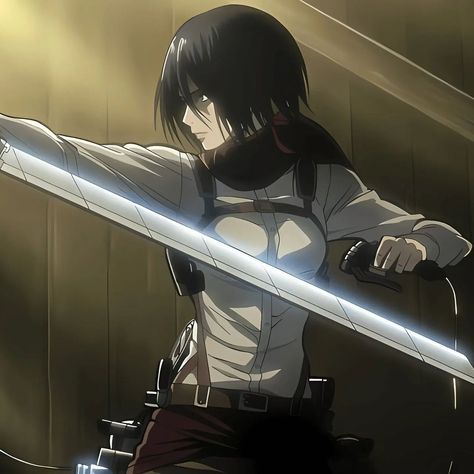 Mikasa Anime, Atack Ao Titan, Aot Anime, Attack On Titan Aesthetic, Eren X Mikasa, Aot Characters, Titans Anime, Mikasa Ackerman, Strong Female