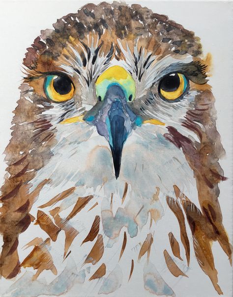 Hawk Watercolor Painting, Hawk Painting Acrylic, Watercolor Hawk, Hawk Painting, Hawk Art, Colorful Animal Paintings, Art Charcoal, Nature Sketch, Spirit Animal Art