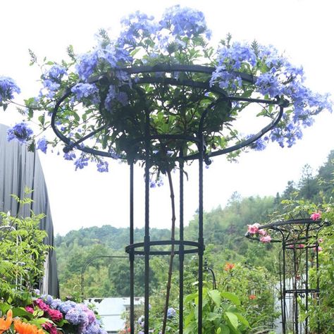 Umbrella Trellis, Tall Trellis, Climbing Plants Trellis, Metal Garden Trellis, Obelisk Trellis, Climbing Plant Support, Indoor Trellis, Climbing Trellis, Vine Trellis