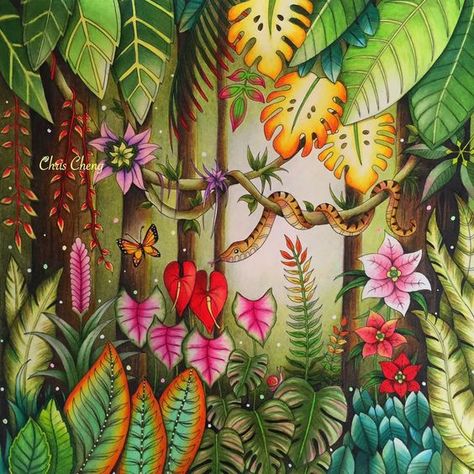 Chris Cheng, Magical Jungle Johanna Basford, Joanna Basford Coloring, Johanna Basford Secret Garden, Enchanted Forest Coloring, Magical Jungle, Johanna Basford Coloring Book, Basford Coloring, Johanna Basford Coloring