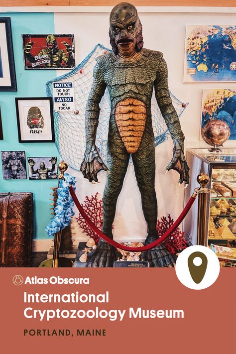 Atlas Obscura. Museums. In Portland, Maine, USA, this oddity museum displays the world's only international cryptozoology curiosities and mysterious objects. A large cryptid and fish man stands on display in front of a fishing net and the monster is scaled. Cryptozoology Museum, Portland Maine Travel, Spooky Places, Portland Maine, Maine Travel, Black Lagoon, Unusual Things, Summer Road Trip, Unique Things