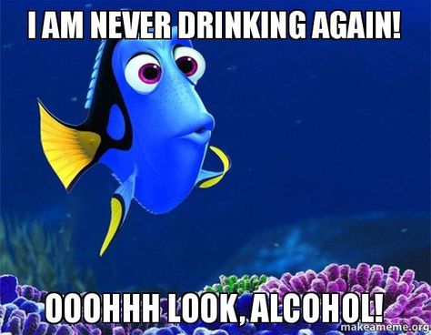 I AM NEVER DRINKING AGAIN! OOOHHH LOOK, ALCOHOL! - Dory from Nemo (5 second memory) | Make a Meme Thanksgiving Meme, Yarn Humor, Crochet Quote, Knitting Quotes, Neville Longbottom, Knitting Humor, Crochet Humor, Finding Nemo, Yearbook