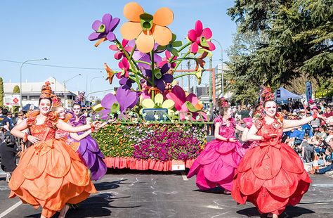 21 September, Flower Festival, Grand Central, Amusement Park, The Flowers, Amazing Flowers, Cut Flowers, Flower Garden, Mood Board