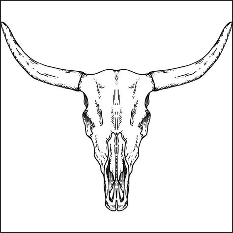 Bull Line Art Longhorn Tattoo Stencil, Bull Lines Tattoo, Bull Skull Tattoo Stencil, Bull Head Tattoo Women, Bull Head Outline, Bull Skull Outline, Long Horn Drawing, Bull Skull Tattoo Design, Crochet Tattoos