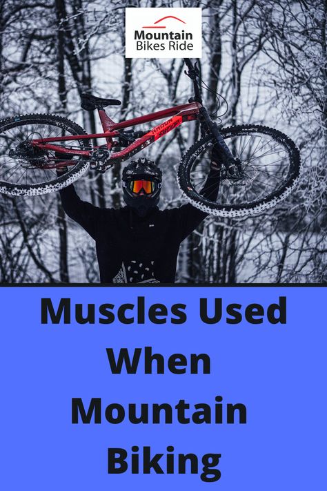 Learn what muscles are used when mountain biking. Mountain biking can give you a full body workout that you enjoy. #mountainbikemuscles #mountainbikeworkout #musclesusedbiking #bikemuscles Mountain Bike Workout, Biking Muscles Used, Cycling Exercises, Mountain Biking Outfit, Mountain Bike Training, Biking Tips, Mountain Biking Quotes, Mt Bike, Bicycle Mountain