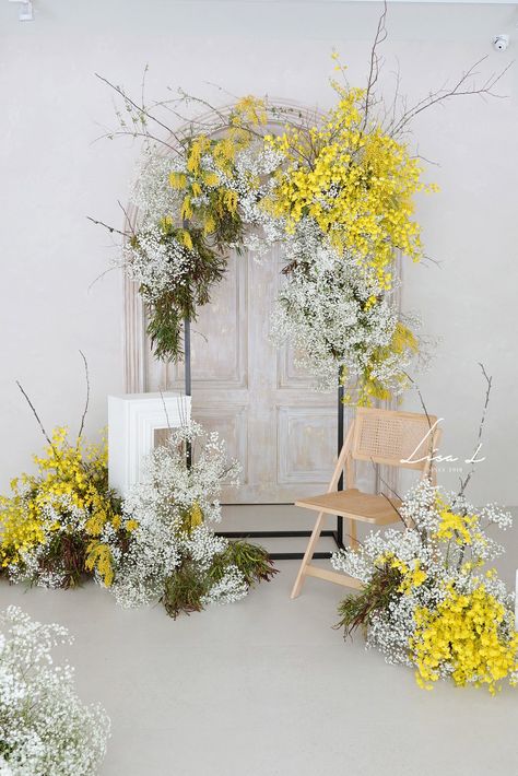 Mimosa Wedding Flowers, Yellow Flower Installation, Mimosa Photoshoot, Baby Breath Arch, Easter Arch, Mimosa Wedding, Flower Table Decorations, Prewedding Photoshoot, Tulip Wedding