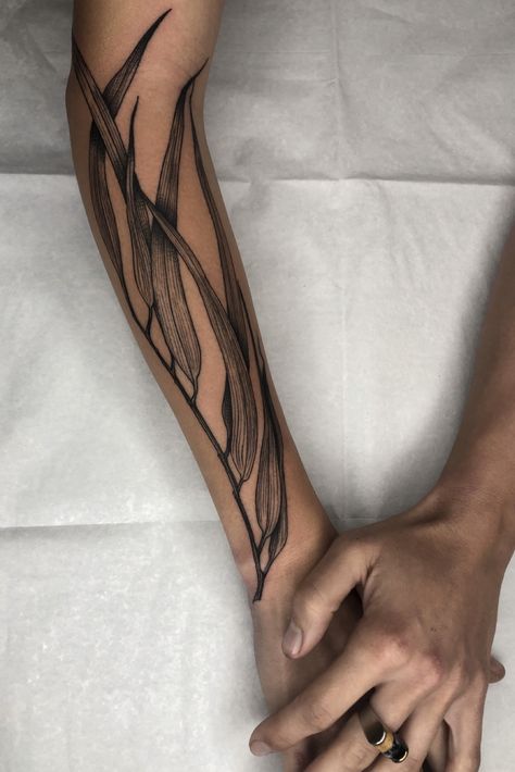 Underwater Plant Tattoo, Water Plants Tattoo, Wetland Tattoo, Kelp Tattoo Seaweed, Sea Plants Tattoo, Seaweed Tattoo Design, Kelp Tattoo, Seaweed Tattoo, Seaweed Underwater