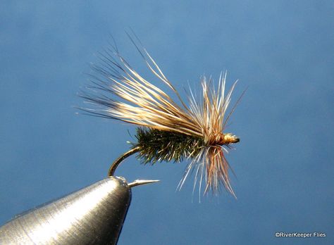 New Fly Patterns - Beginner Fly Tying, Best Trout Flies, Fly Fishing Colorado, How To Fly Fish, Caddis Fly, Fly Tying Vises, Fly Tying Desk, Caddis Flies, Tying Flies