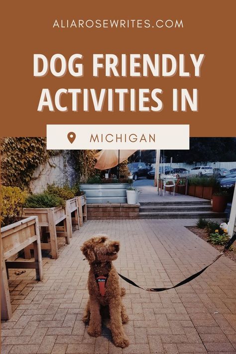 There is no shortage of dog friendly things to do in Michigan. This post will help you find all sorts of creative adventures that you and your dog can enjoy together! Dog Travel // Dog Friendly // Dog Activities Michigan Things To Do In Michigan, Dog Travel Accessories, Travel Dog, Dog Activities, Dog Travel, Dog Friendly, Four Legged, Dog Friends, Outdoors Adventure