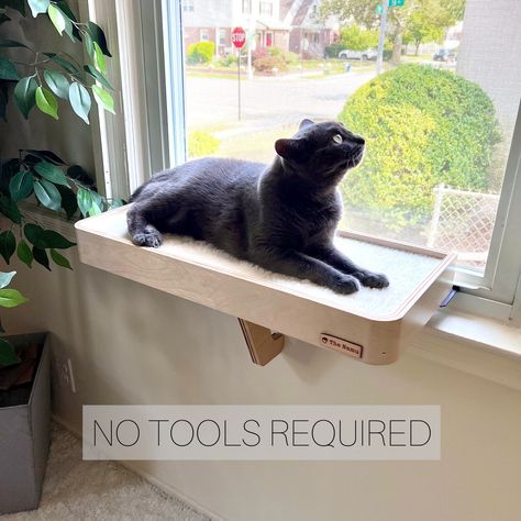 Diy Cat Window Perch, Small Dog Furniture, Window Cat Bed, Cat Window Shelf, Cat Window Seat, Cat Area, Window Shelf, Cat Window Perch, Window Perch