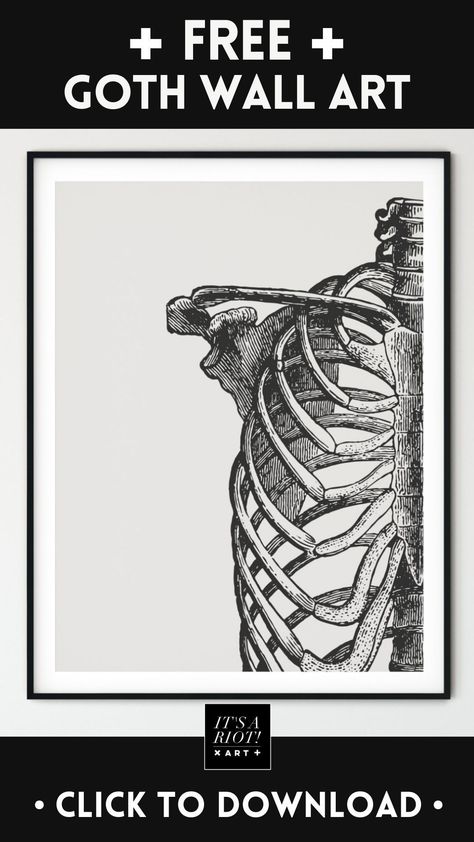 FREE Goth Wall Art by IT'S A RIOT! Art. ★ Includes anatomical vintage illustrations of, Skull, Ribcage & Heart ★ Bring some dark aesthetic to your space with this free set of three Goth wall art prints. Perfect for Modern Goth home decor, this collection merges elements of Grunge and Dark Eclectic decor to create a truly unique Bohemian Gothic art display. Anatomical Ribcage, Goth House Decor, Goth Interior, Art Bedroom Aesthetic, Minimal Goth, Punk Decor, Goth Wall Art, Minimalist Goth, Room Grunge