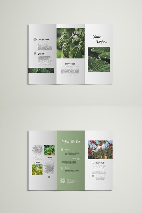 Minimalist flyer templates for yoga classes that promote relaxation, mindfulness, and a healthy lifestyle. Broshor Design Graphics, Product Brochure Design Layout, Aesthetic Brochure Ideas, Phamplet Design, Leaflet Design Layout, Plant Brochure, Creative Brochure Layout, Leaflet Layout, Minimalist Flyer