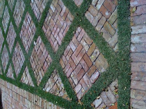 I don't know about ground cover , . . but mixing some slim bricks/different color might be a possibility. Brick Pavers With Grass In Between, Courtyard Brick Pavers, Brick Paths, Brick Driveway, Brick Pathway, Side Yard Landscaping, Brick Patio, Brick Path, Brick Walkway