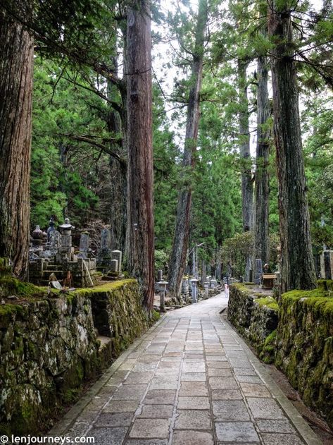 Okunoin in Koyasan is among Japan's largest cemeteries. White Cherry Blossom, Wakayama, Travel Japan, Forest Mountain, White Cherries, Cedar Trees, Historical Sites, Buddhism, Cemetery