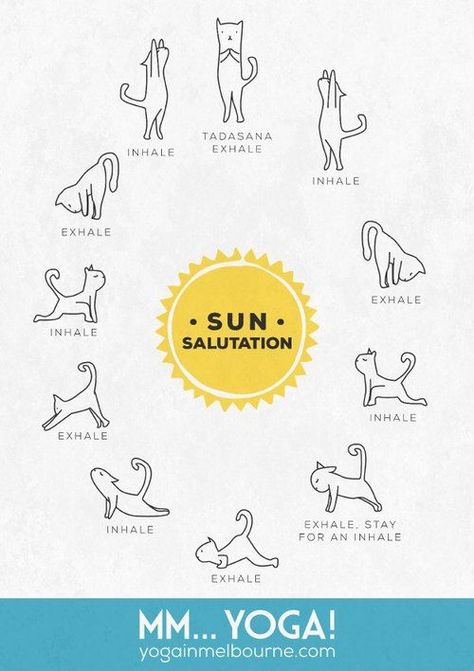 Plank Pose, Yoga Poster, Cat Yoga, Yoga Exercises, Sun Salutation, Easy Yoga, Yoga Room, Yoga Health, Yoga Stretches