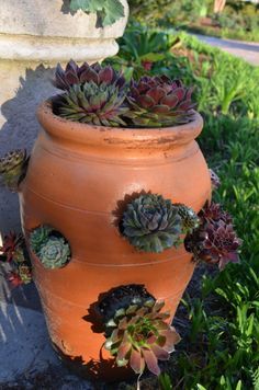 creative ways plant hens chicks | Gardening things on Pinterest | Strawberry Pots, Succulents and ... Strawberry Pot, Strawberry Planter, Strawberry Pots, Strawberry Planters, Diy Planter, Strawberry Garden, Growing Strawberries, Popular Diy, Planter Design