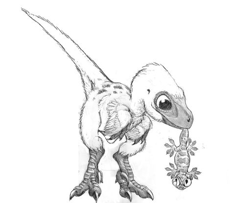 Oh my god that is too cute!! __ Sketch for baby velociraptor by Psithyrus Cute Raptor Drawing, Velociraptor Drawing Cute, Velociraptor Tattoo Cute, Dinosaur Sketch Cute, Dinasors Drawing, Baby Dinosaur Drawing, Raptor Drawing, Velociraptor Drawing, Dino Sketch