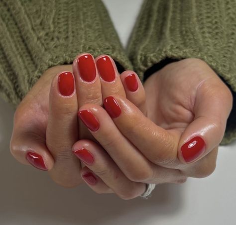 red nails nail polish Red Nails Aesthetic Short, Classic Red Manicure, Opi Red Nails, Red Squoval Nails, Red Sns Nails, Short Squoval Nails, Red Jelly Nails, Red Short Nails, Red Shellac