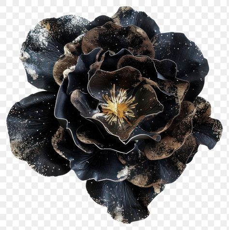 Black Aesthetic Moodboard, Royal Concept, Png Scrapbook, Blue Scrapbook, Black Png, Aesthetic Png, Scrapbook Printing, Png Flower, Botanical Illustration Vintage