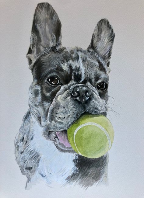 Ball Illustration, Portrait Animal, Animal Portraits, Wildlife Artists, French Bull, Ink Drawing Illustration, Ink Pen Drawings, Wildlife Art, Pet Lovers