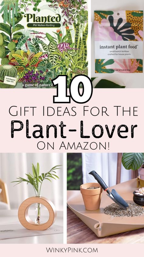 Plant-Lovers Gift Guide: 10 Gift Ideas They Will LOVE! - Winky Pink Gift Ideas For Plant Lovers, I Love Plants, Gifts For Plant Lovers, Terrarium Gifts, Plant Inspiration, Plant Crafts, Diy Xmas Gifts, Love Plants, Plant Stand Indoor