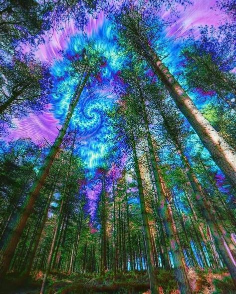 Trippy Nature Aesthetic, Acid Trips Visuals, Trippy Pictures, Trippy Aesthetic, Trippy Visuals, Psychadelic Art, Emo Wallpaper, Trippy Wallpaper, Original Characters