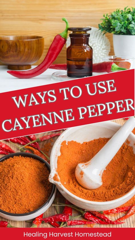 In this video, I'm sharing a few of my favorite ways to use cayenne as a healing herb. It's not just great for cooking!#herbalism #cayennepepper #naturalremedy Cayenne, Cayenne Peppers, Medicinal Herbs, Natural Health, Home Remedies, Natural Remedies, How To Stay Healthy, Healthy Life, Health Tips