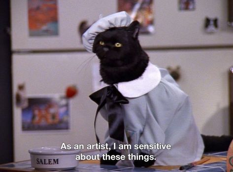 Salem Saberhagen, Cassandra Calin, Salem Cat, Hard Rock Hotel, 귀여운 동물, Movie Quotes, Reaction Pictures, Mood Pics, Cat Memes