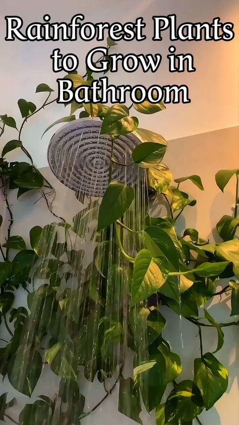 Tropical Plants Bathroom, Rainforest Bathroom Ideas, Plants Bathroom, Bathroom Green, Growing Bamboo, نباتات منزلية, Inside Plants, Bathroom Plants, Plant Decor Indoor