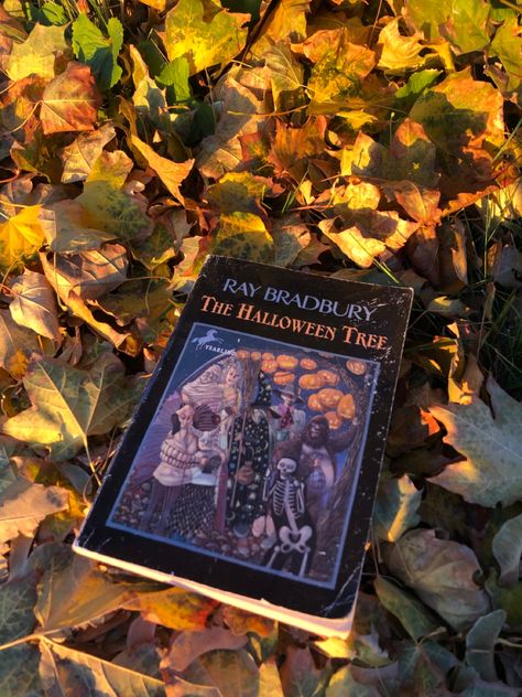 Halloween Aesthetic Books, Colorful Fall Aesthetic, Halloween Book Aesthetic, October Leaves, Books Autumn, Autumn Books, Fall Books, Booktok Books, Halloween Facts