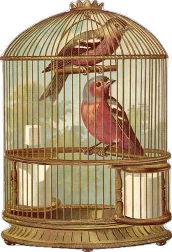 Antique Bird Cages, Bird In A Cage, Bird Clipart, Vintage Bird Cage, Victorian Scrap, Graphics Fairy, Instant Art, Images Vintage, Pink Bird