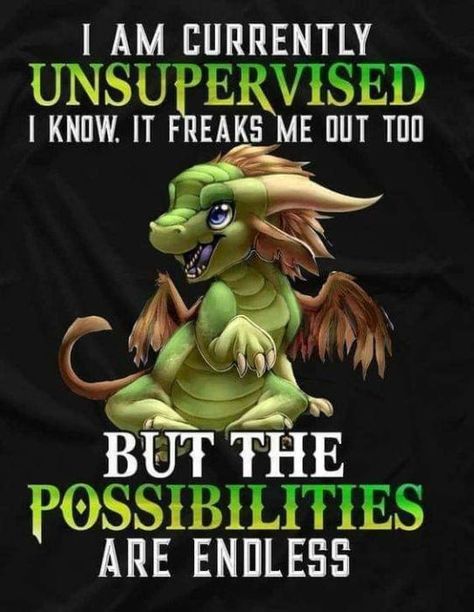 Dragon Sayings, Dragon Quotes, Cute Animal Quotes, Dragon Memes, Dragon Pictures, Funny Cartoon Quotes, Funny True Quotes, Wait For It, Cartoon Quotes