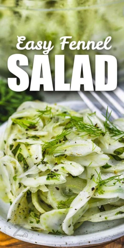 Fennel Bulb Salad, Salads Recipes With Fennel, Fennel Salad Dressing, Fennel Slaw Recipes, How To Cook Fennel Bulb, Fennel Cucumber Salad, Recipes Using Fresh Fennel, Recipe With Fennel, Fennel Leaves Uses