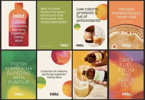 Kombucha Brands, Word Mark Logo, Tea Brands, Design System, Kombucha, Graphic Design Branding, Photography Branding, Brand Packaging, Media Design