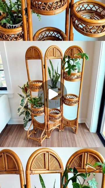 Round Shelves, Explore Decor, Rattan Plant Stand, Round Shelf, Plant Mama, Frederick Md, Vintage Planters, April 27, Plant Lover